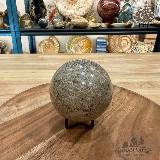 Reserve Fossilized Dinosaur Bone Sphere 3.24’’ - Fossil Sphere
