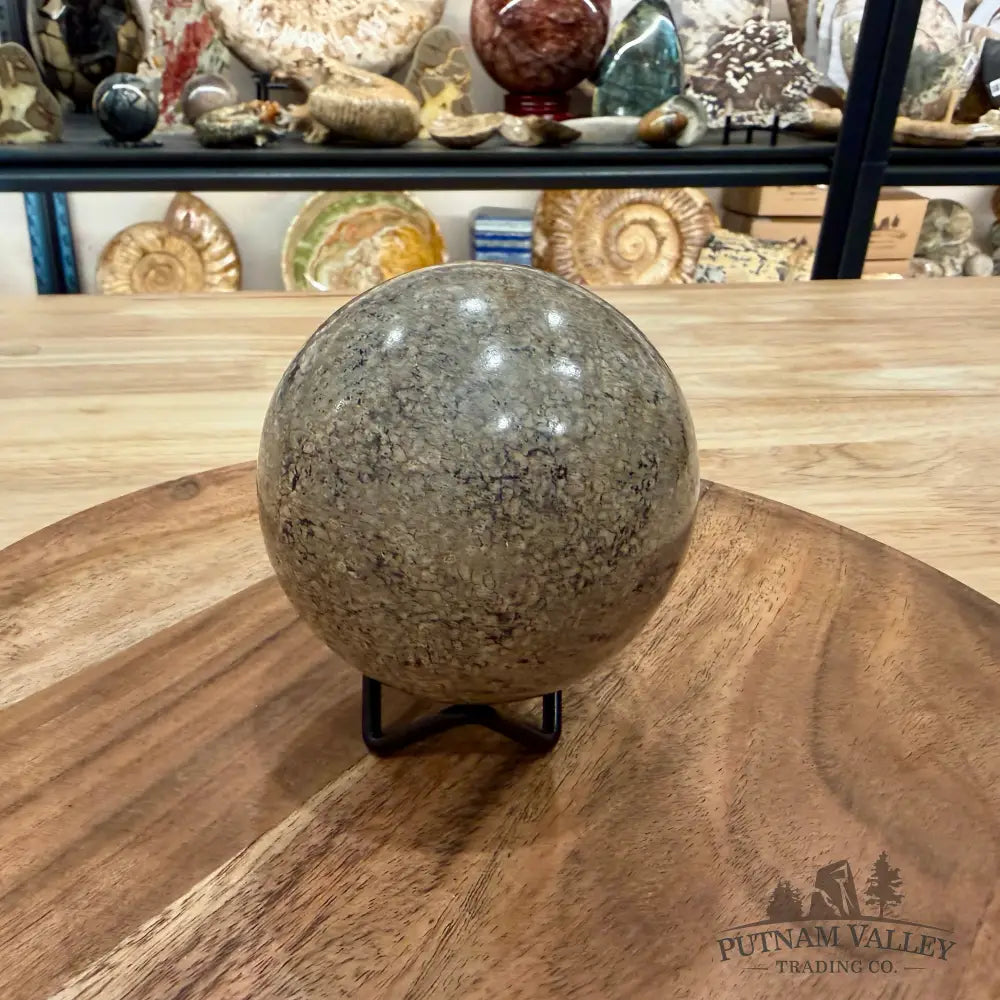 Reserve Fossilized Dinosaur Bone Sphere 3.24’’ - Fossil Sphere