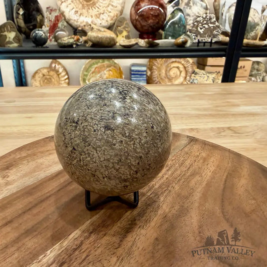 Reserve Fossilized Dinosaur Bone Sphere 3.24’’ - Fossil Sphere