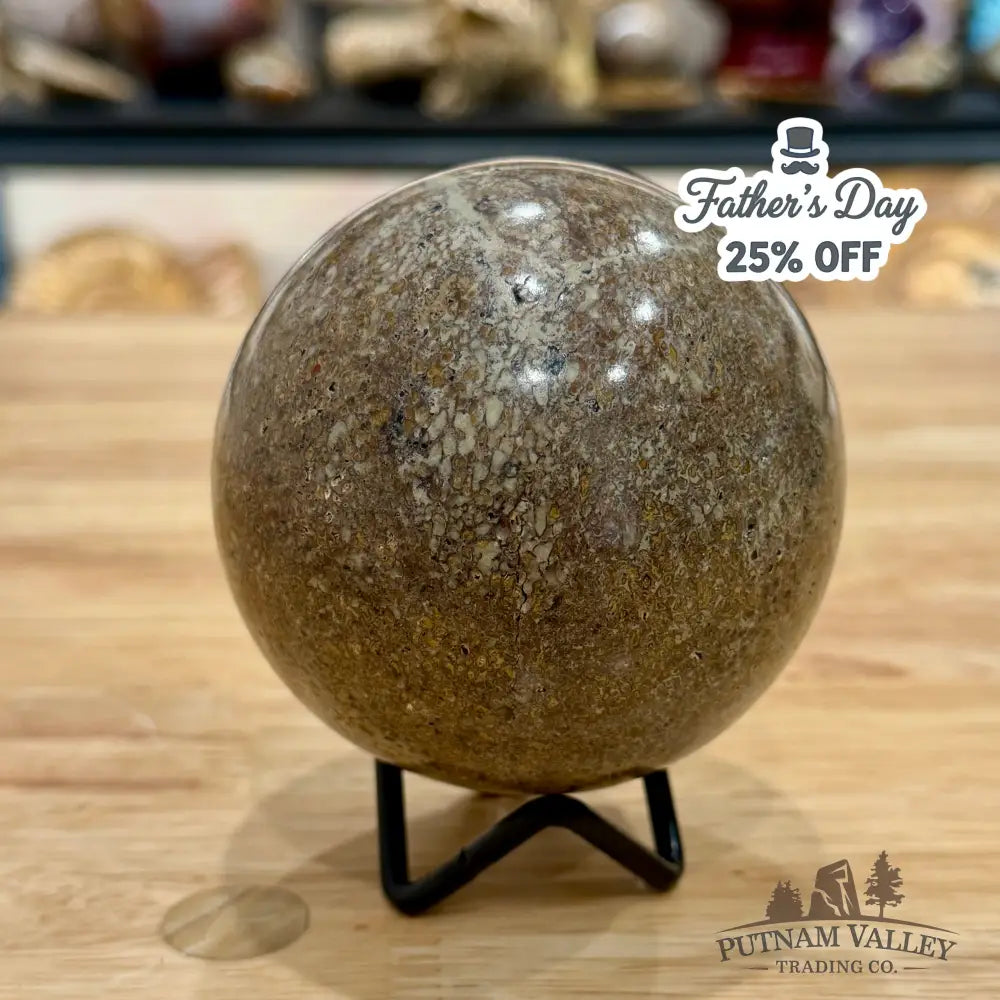 Reserve Fossilized Dinosaur Bone Sphere 3.32’’ Fossil Sphere