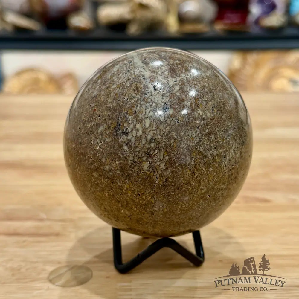 Reserve Fossilized Dinosaur Bone Sphere 3.32’’ Fossil Sphere