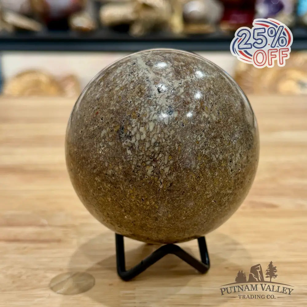 Reserve Fossilized Dinosaur Bone Sphere 3.32’’ Fossil Sphere