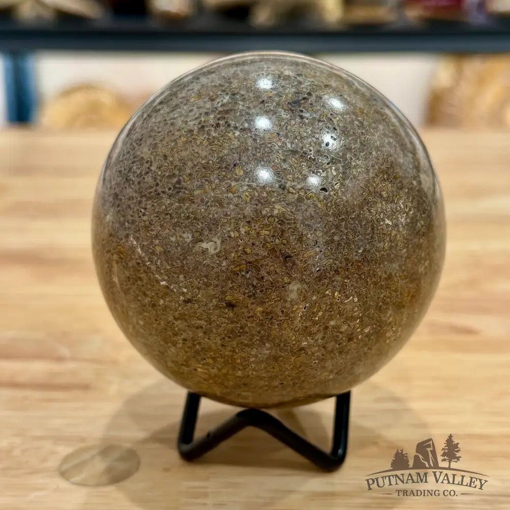 Reserve Fossilized Dinosaur Bone Sphere 3.32’’ Fossil Sphere