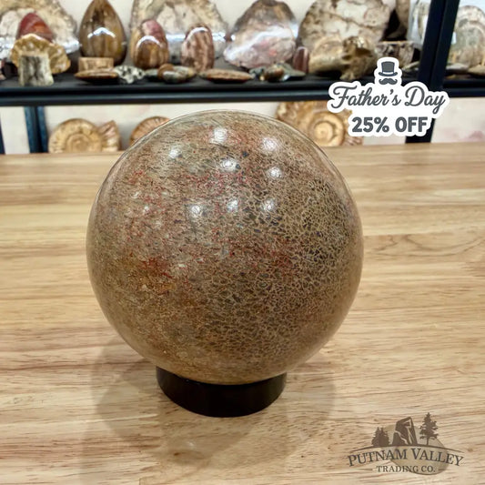 Reserve Fossilized Dinosaur Bone Sphere 3.44’’ Fossil Sphere