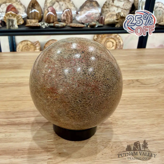 Reserve Fossilized Dinosaur Bone Sphere 3.44’’ Fossil Sphere