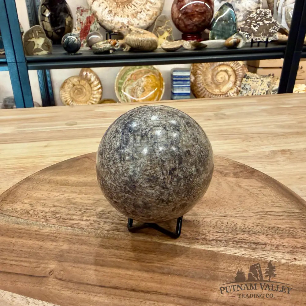 Reserve Fossilized Dinosaur Bone Sphere 3.3’’ - Fossil Sphere