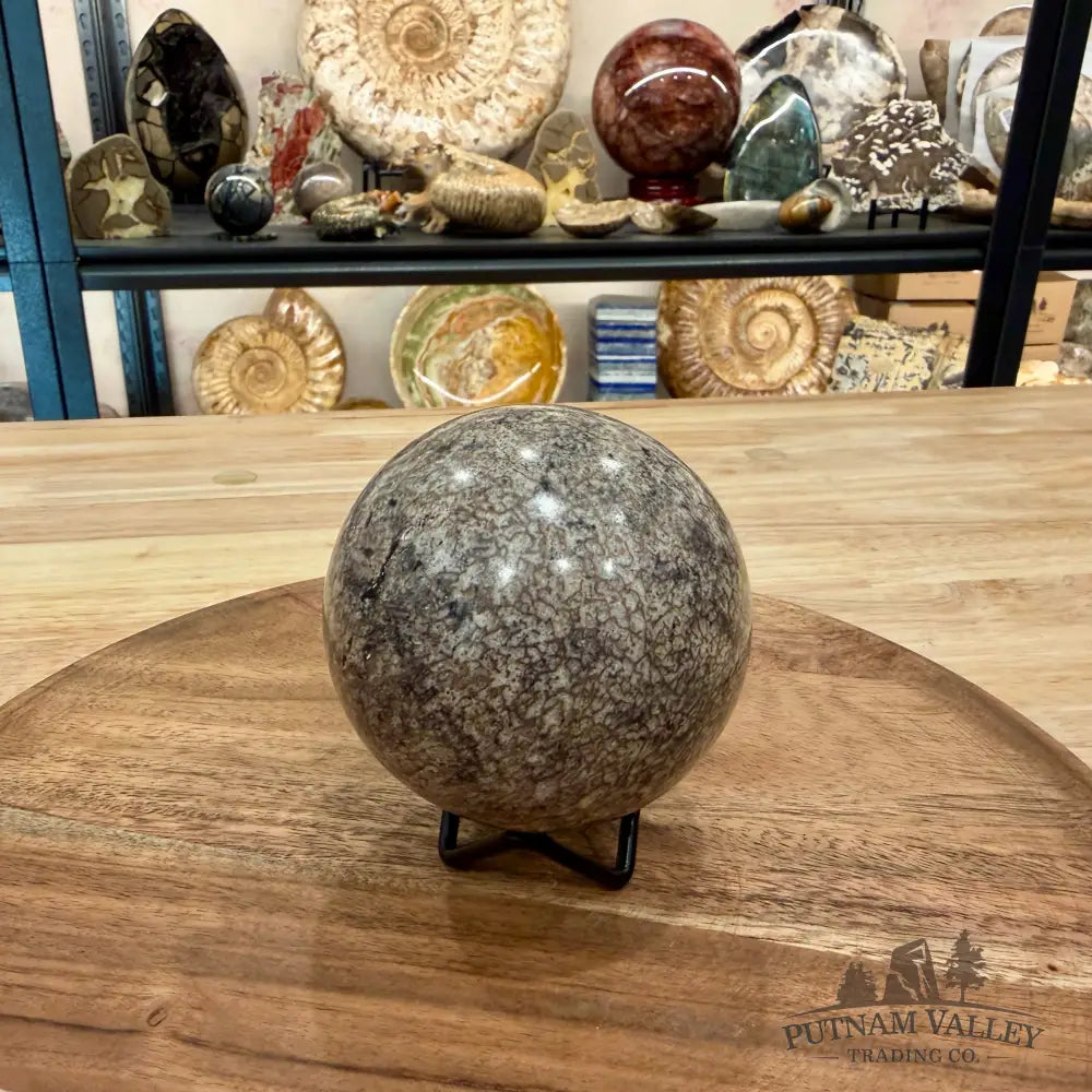 Reserve Fossilized Dinosaur Bone Sphere 3.3’’ - Fossil Sphere