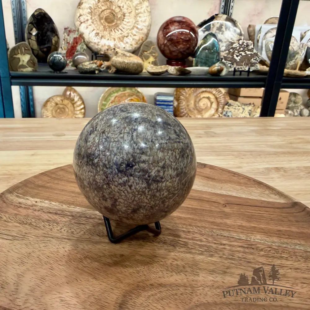 Reserve Fossilized Dinosaur Bone Sphere 3.3’’ - Fossil Sphere