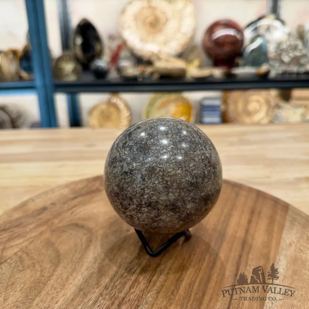 Reserve Fossilized Dinosaur Bone Sphere 3.3’’ - Fossil Sphere