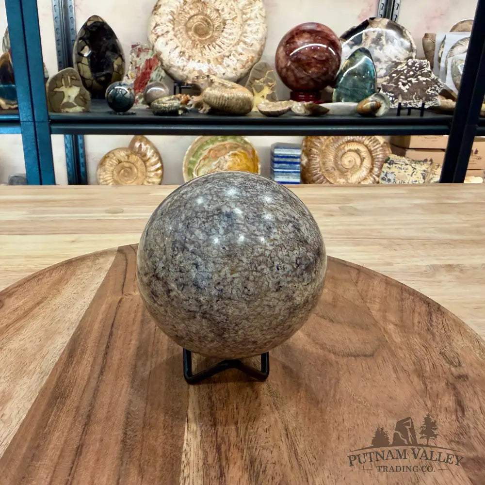 Reserve Fossilized Dinosaur Bone Sphere 3.3’’ - Fossil Sphere