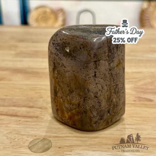 Reserve Fossilized Dinosaur Bone Table Accent 3.5’’ Accent