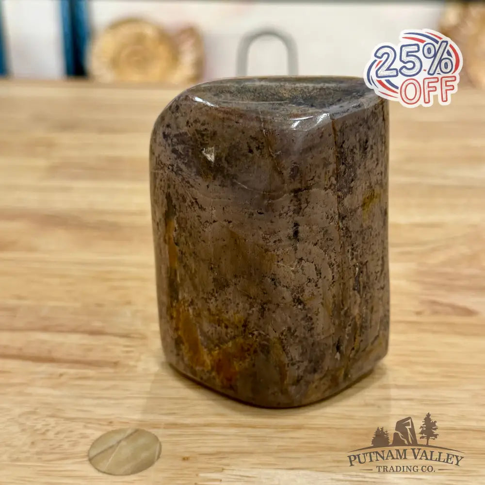 Reserve Fossilized Dinosaur Bone Table Accent 3.5’’ Accent