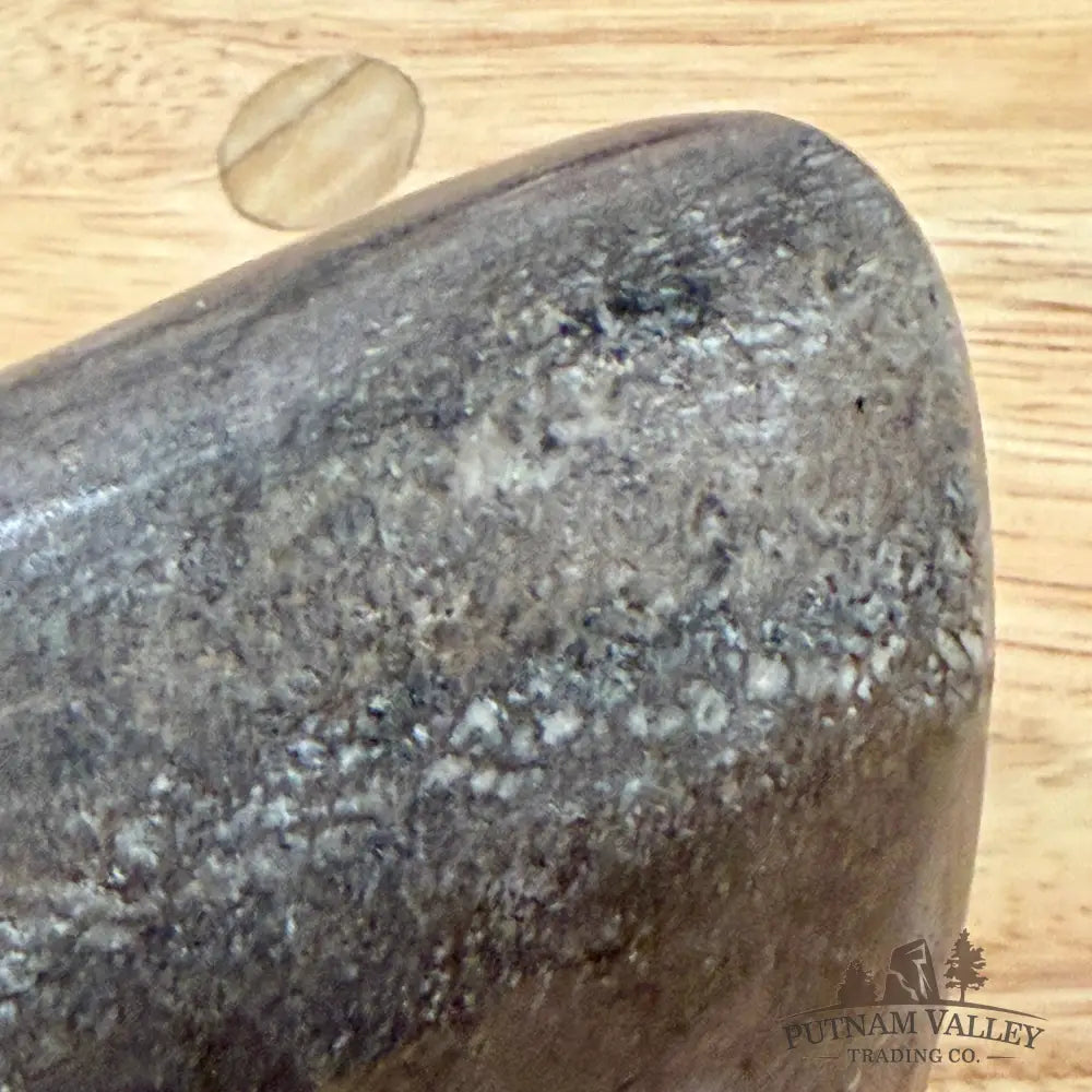 Reserve Fossilized Dinosaur Bone Table Accent 4’’ Accent