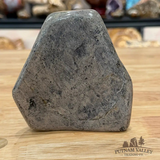 Reserve Fossilized Dinosaur Bone Table Accent 4.3’’ Accent