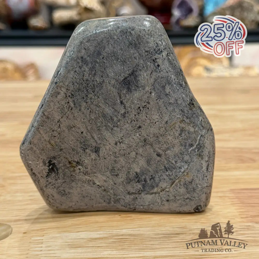 Reserve Fossilized Dinosaur Bone Table Accent 4.3’’ Accent