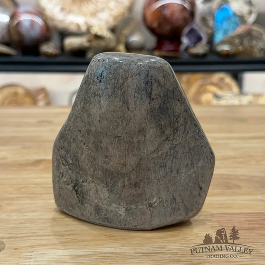 Reserve Fossilized Dinosaur Bone Table Accent 4.3’’ Accent