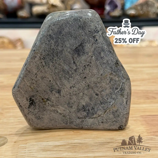 Reserve Fossilized Dinosaur Bone Table Accent 4.3’’ Accent