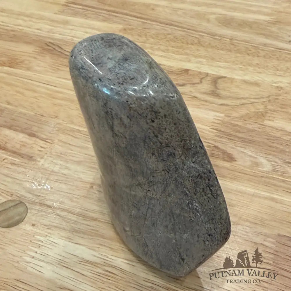 Reserve Fossilized Dinosaur Bone Table Accent 4.3’’ Accent