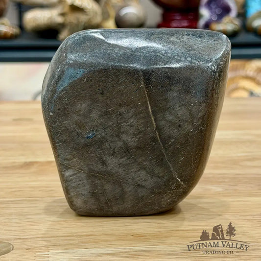 Reserve Fossilized Dinosaur Bone Table Accent 4’’ Accent