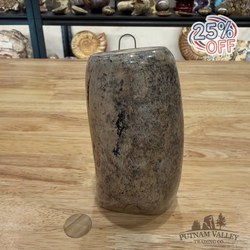 Reserve Fossilized Dinosaur Bone Table Accent 4.7’’ Accent
