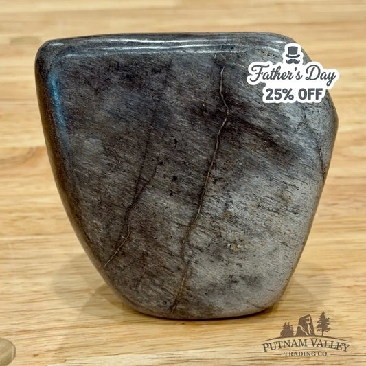 Reserve Fossilized Dinosaur Bone Table Accent 4’’ Accent