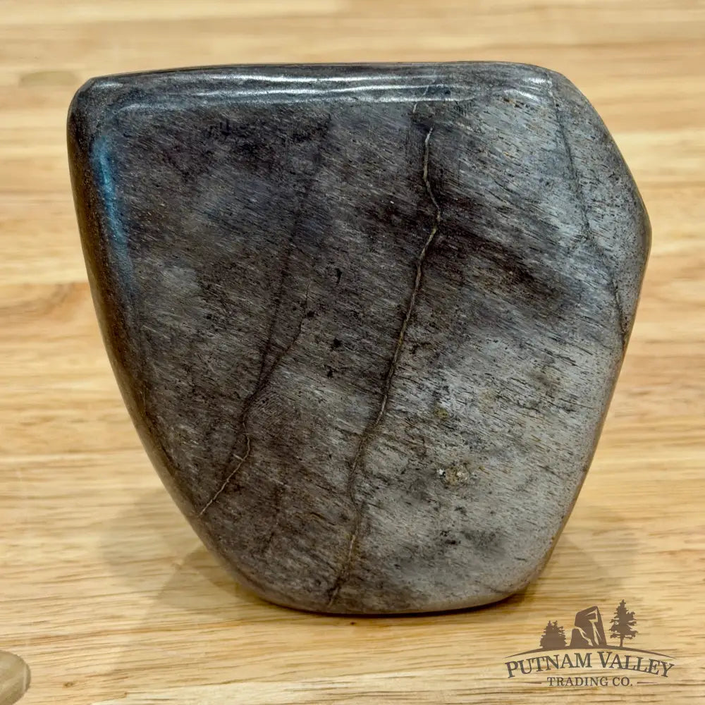 Reserve Fossilized Dinosaur Bone Table Accent 4’’ Accent