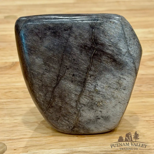 Reserve Fossilized Dinosaur Bone Table Accent 4’’ Accent