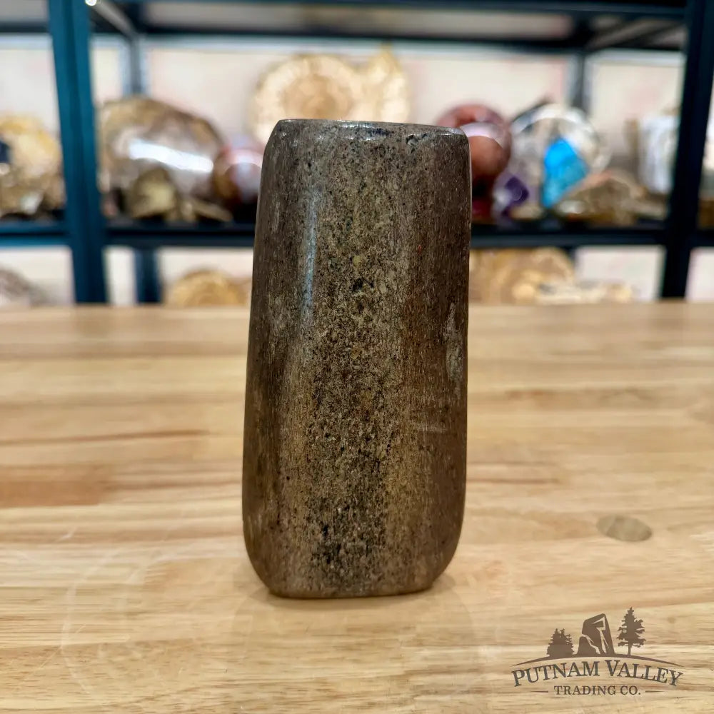 Reserve Fossilized Dinosaur Bone Table Accent 5.4’’ Accent