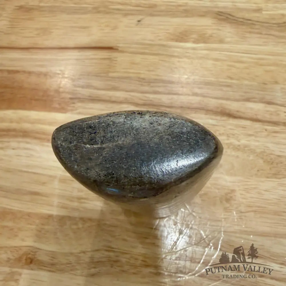 Reserve Fossilized Dinosaur Bone Table Accent 5.4’’ Accent