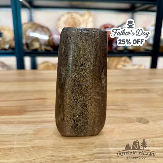 Reserve Fossilized Dinosaur Bone Table Accent 5.4’’ Accent