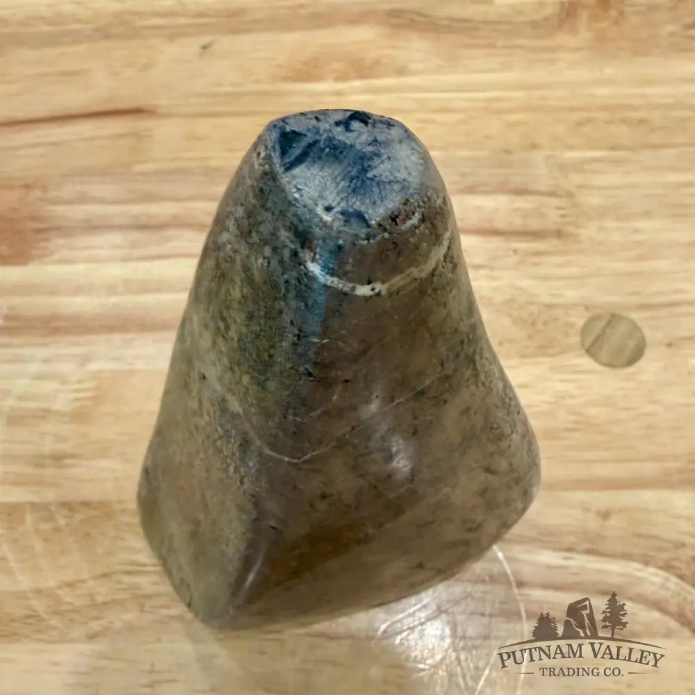 Reserve Fossilized Dinosaur Bone Table Accent 5.4’’ Accent
