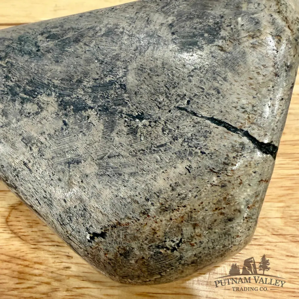 Reserve Fossilized Dinosaur Bone Table Accent 5.4’’ Accent