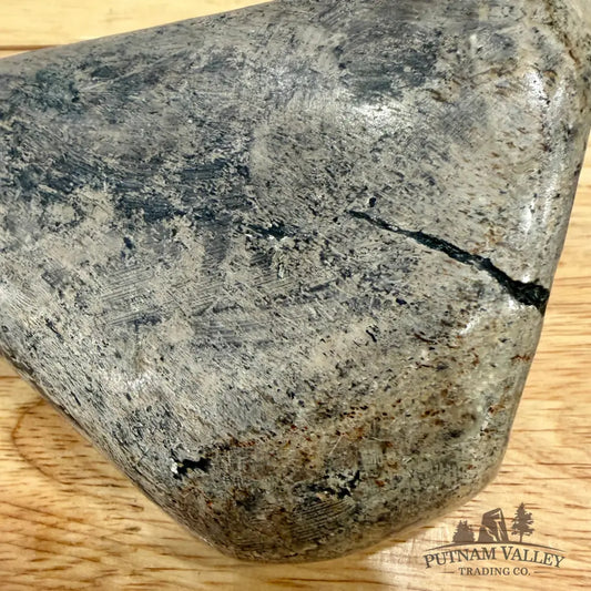 Reserve Fossilized Dinosaur Bone Table Accent 5.4’’ Accent