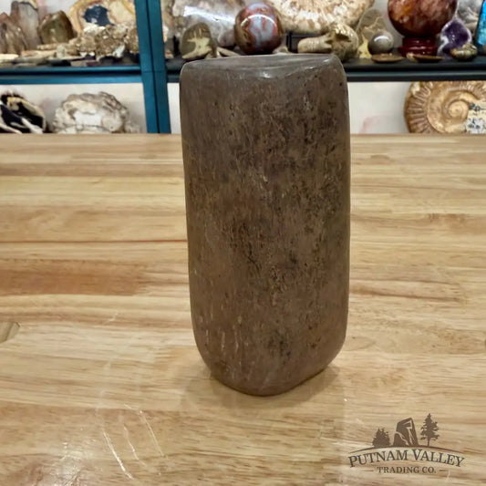 Reserve Fossilized Dinosaur Bone Table Accent 5.4’’ Accent