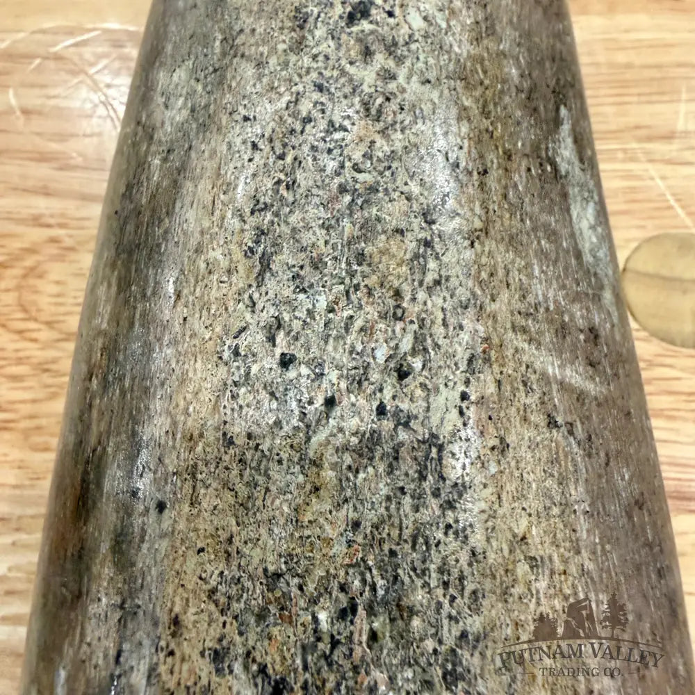 Reserve Fossilized Dinosaur Bone Table Accent 5.4’’ Accent
