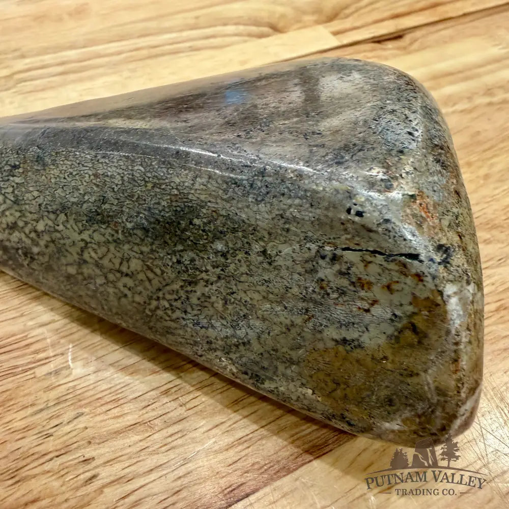 Reserve Fossilized Dinosaur Bone Table Accent 5.4’’ Accent