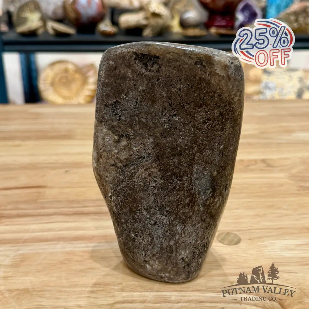 Fossilized Dinosaur Bone Table Accent 6.3’’ Accent