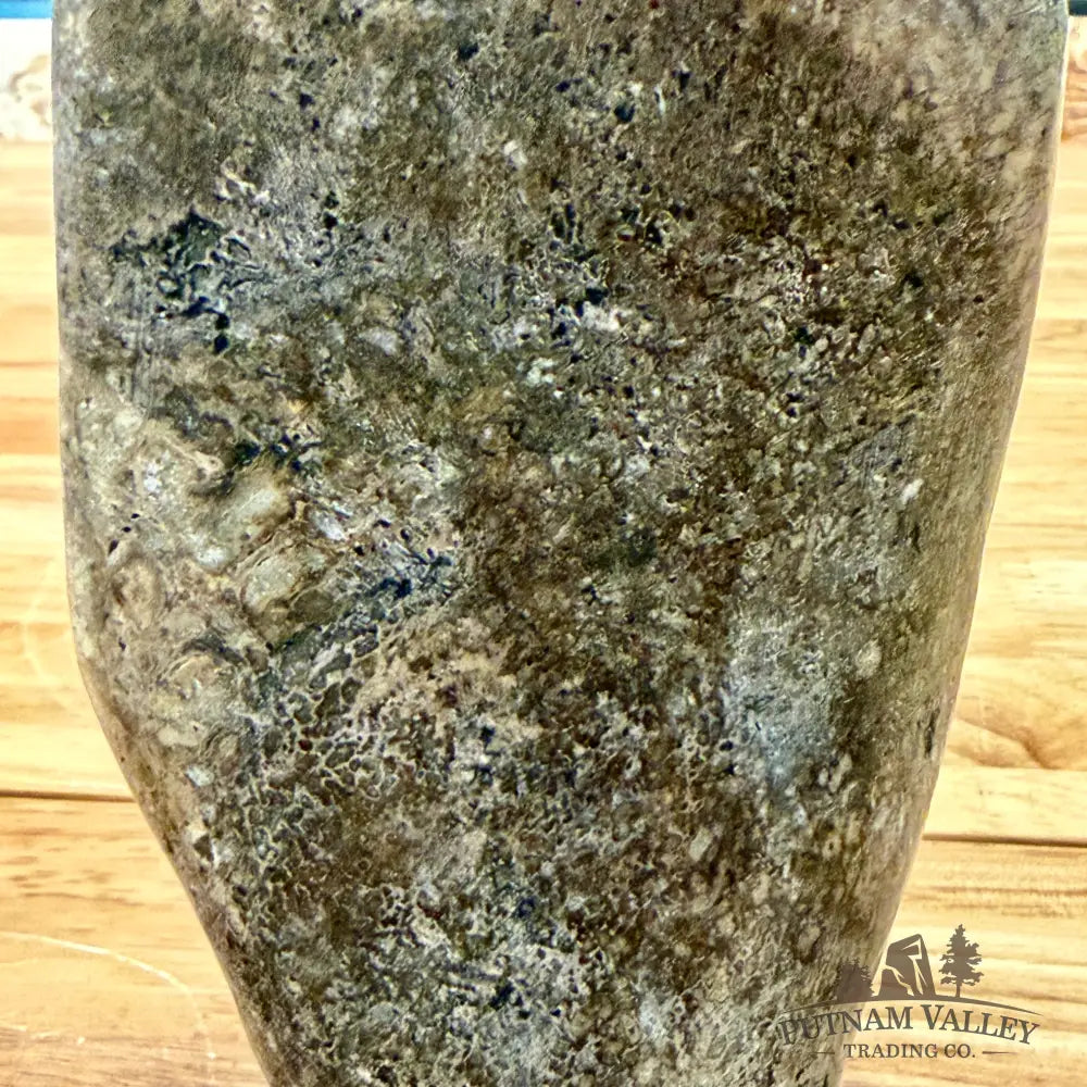 Fossilized Dinosaur Bone Table Accent 6.3’’ Accent