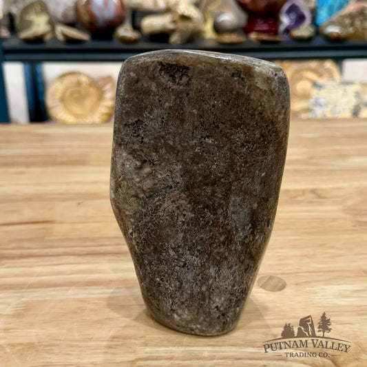 Fossilized Dinosaur Bone Table Accent 6.3’’ Accent