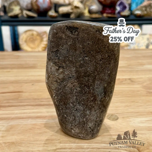 Fossilized Dinosaur Bone Table Accent 6.3’’ Accent