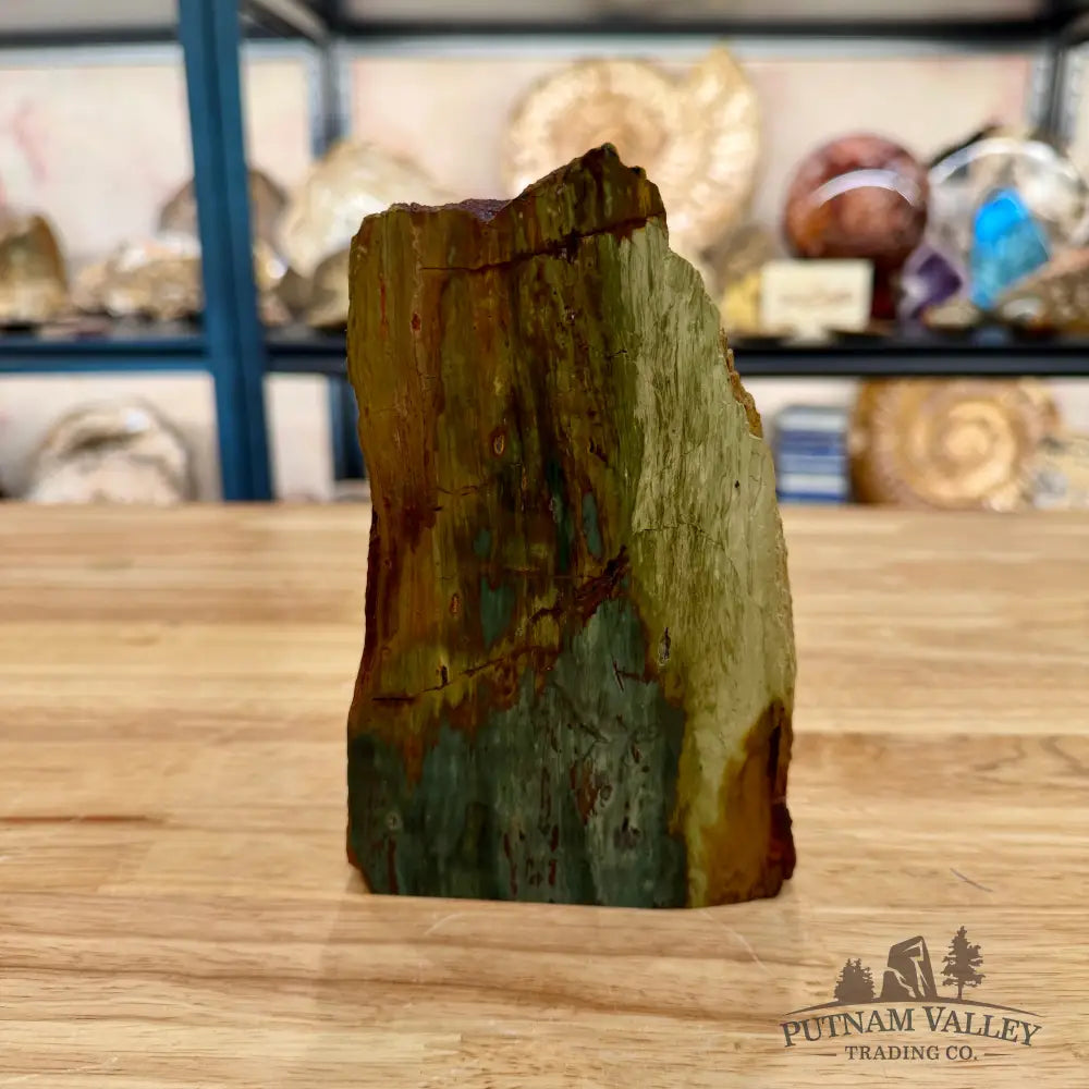 Gary Green Jasper Table Accent 6.2’’ - Accent