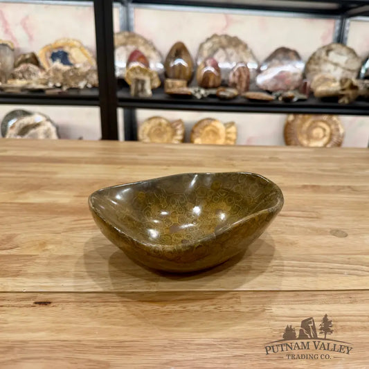 Reserve Coral Fossil Bowl Fossil Bowl