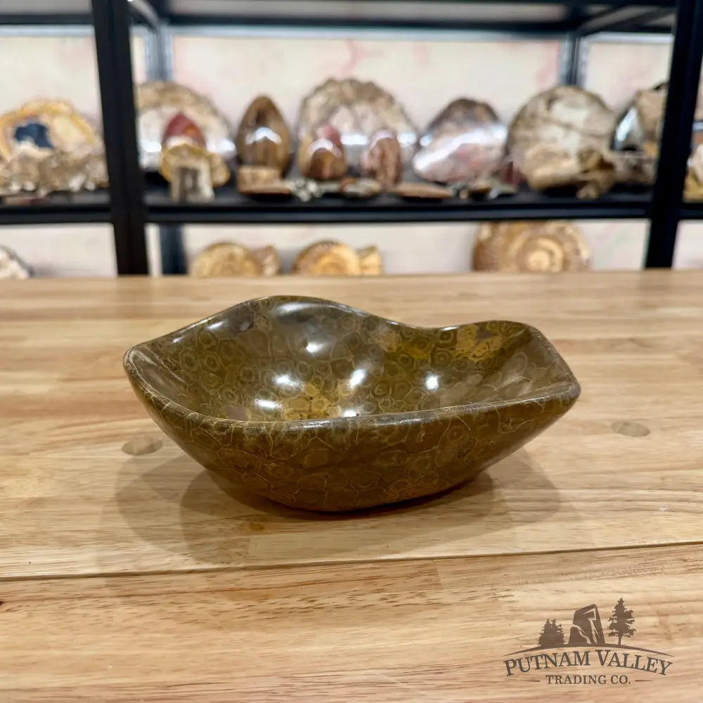 Reserve Coral Fossil Bowl Fossil Bowl