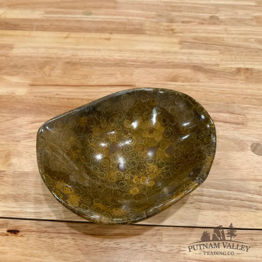 Reserve Coral Fossil Bowl Fossil Bowl