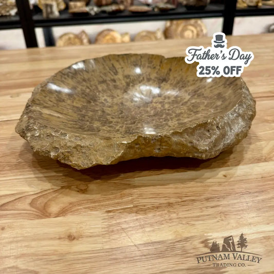 Reserve Coral Fossil Rustic Bowl 12’’ Fossil Bowl