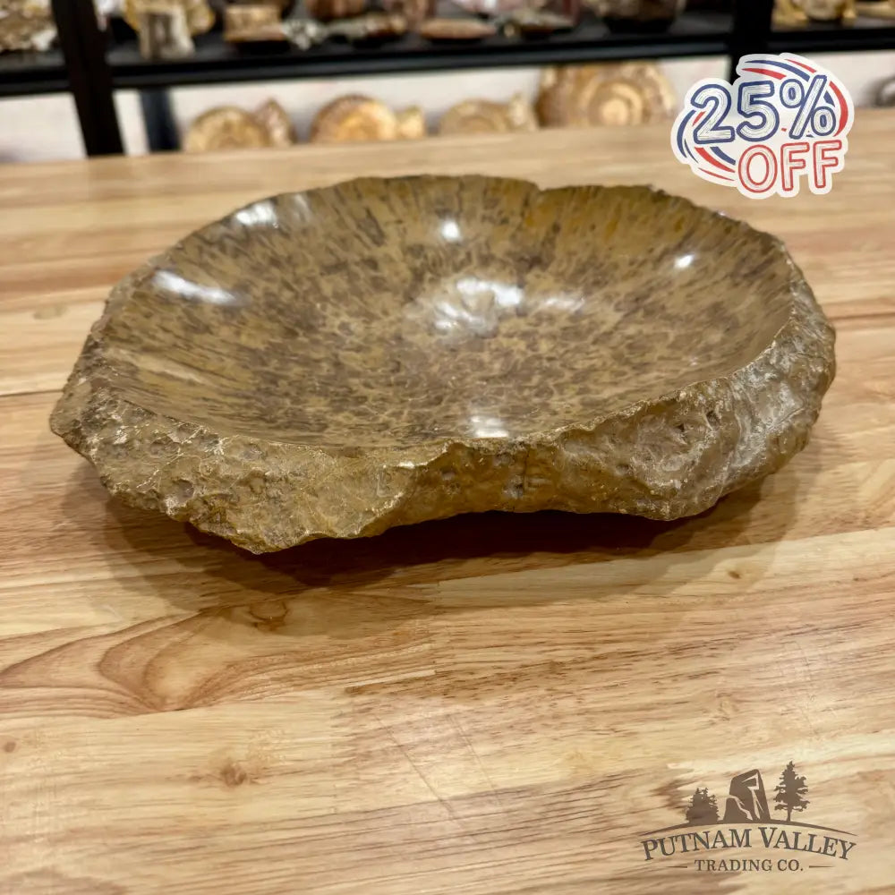 Reserve Coral Fossil Rustic Bowl 12’’ Fossil Bowl