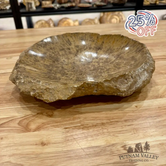 Reserve Coral Fossil Rustic Bowl 12’’ Fossil Bowl