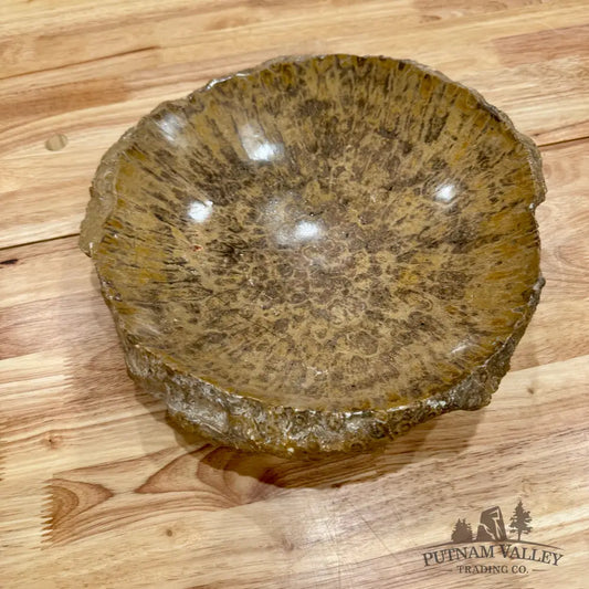 Reserve Coral Fossil Rustic Bowl 12’’ Fossil Bowl