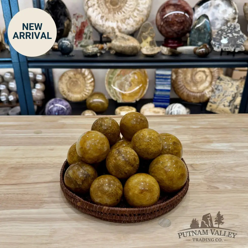Reserve Golden Healer Quartz Spheres - 2’’ - 2.4’’ - Tumbled Stone
