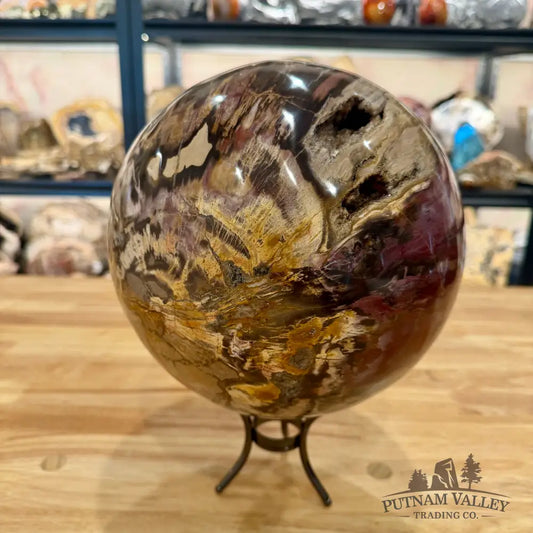 Reserve Hand-Carved Madagascar Petrified Wood Sphere 8.5’’ Sphere